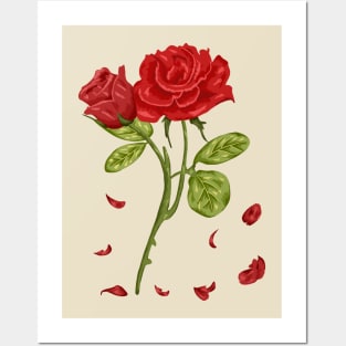 Rose Red Botanical Posters and Art